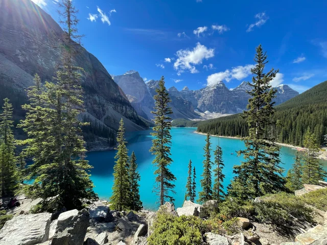 Ola Witukiewicz tweet media