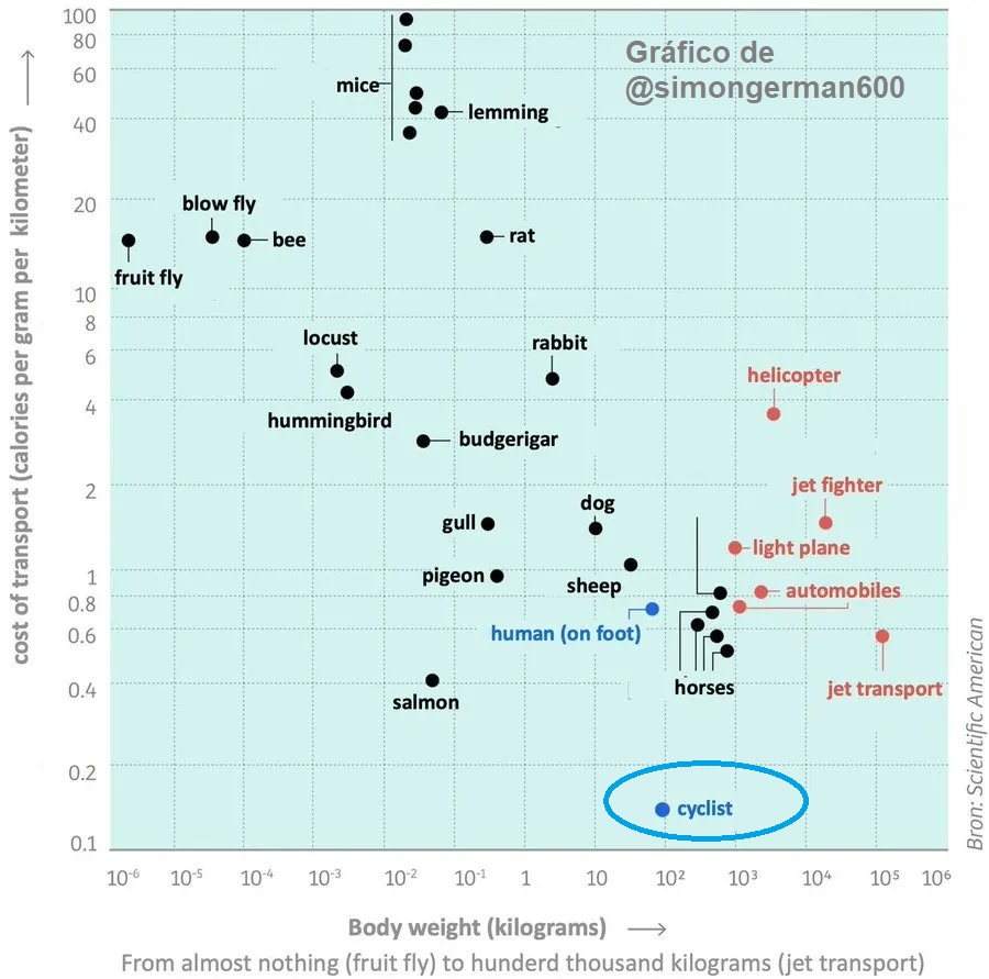 globalmartin's tweet photo. ¿Cuál es la forma más eficiente de moverse? Hace años S. Wilson publicó un estudio en Scientific American que comparaba el esfuerzo de animales y máquinas para avanzar. La manera más eficiente de moverse es la bicicleta. Steve Jobs estaba entusiasmado con ese estudio. 1/2 https://t.co/02zCiejPL7