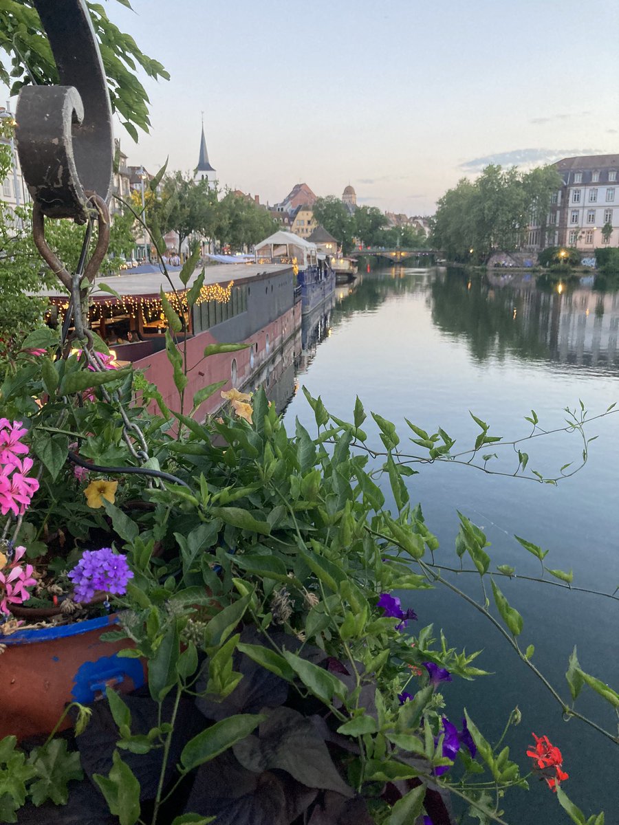 DeFiPulse tweet media