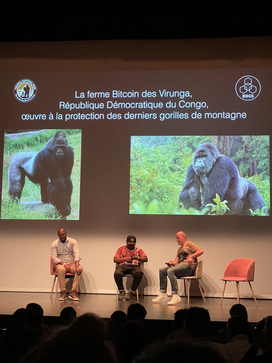 Zonebitcoinco's tweet image. Une belle vidéo qui écrase tous les préjugés sur le minage de #bitcoin  qui permet la préservation du parc  Virunga au #congo avec @GloireKW , Amadou Diop et @SebGouspillou de @BBGreenServices