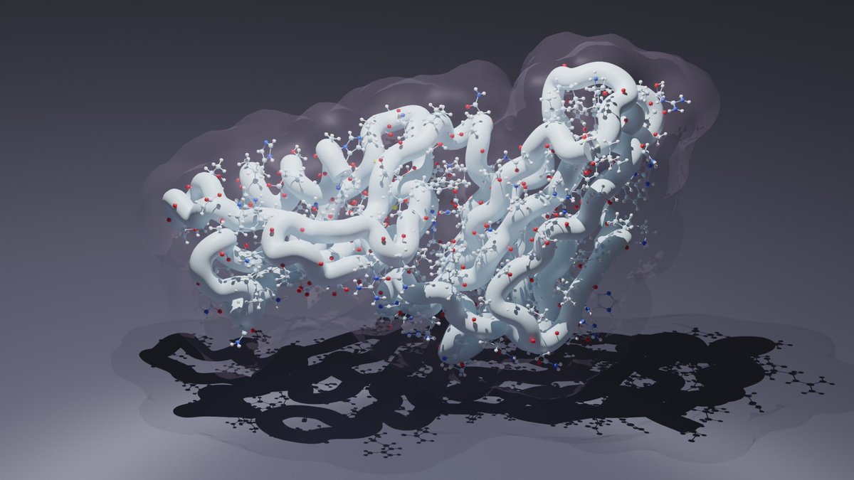 Daniel Yu (@daniel_s_yu) on Twitter photo Finally got around to playing with #blender3d. Here is the first effector structure I ever solved (pdb: 7t6a). Massive thanks to <a href="/SarahJ_Piper/">Sarah Piper</a> and <a href="/em_furlong/">Dr Emily Furlong</a> for the blender workshop! Finally got around to playing with #blender3d. Here is the first effector structure I ever solved (pdb: 7t6a). Massive thanks to <a href="/SarahJ_Piper/">Sarah Piper</a> and <a href="/em_furlong/">Dr Emily Furlong</a> for the blender workshop!