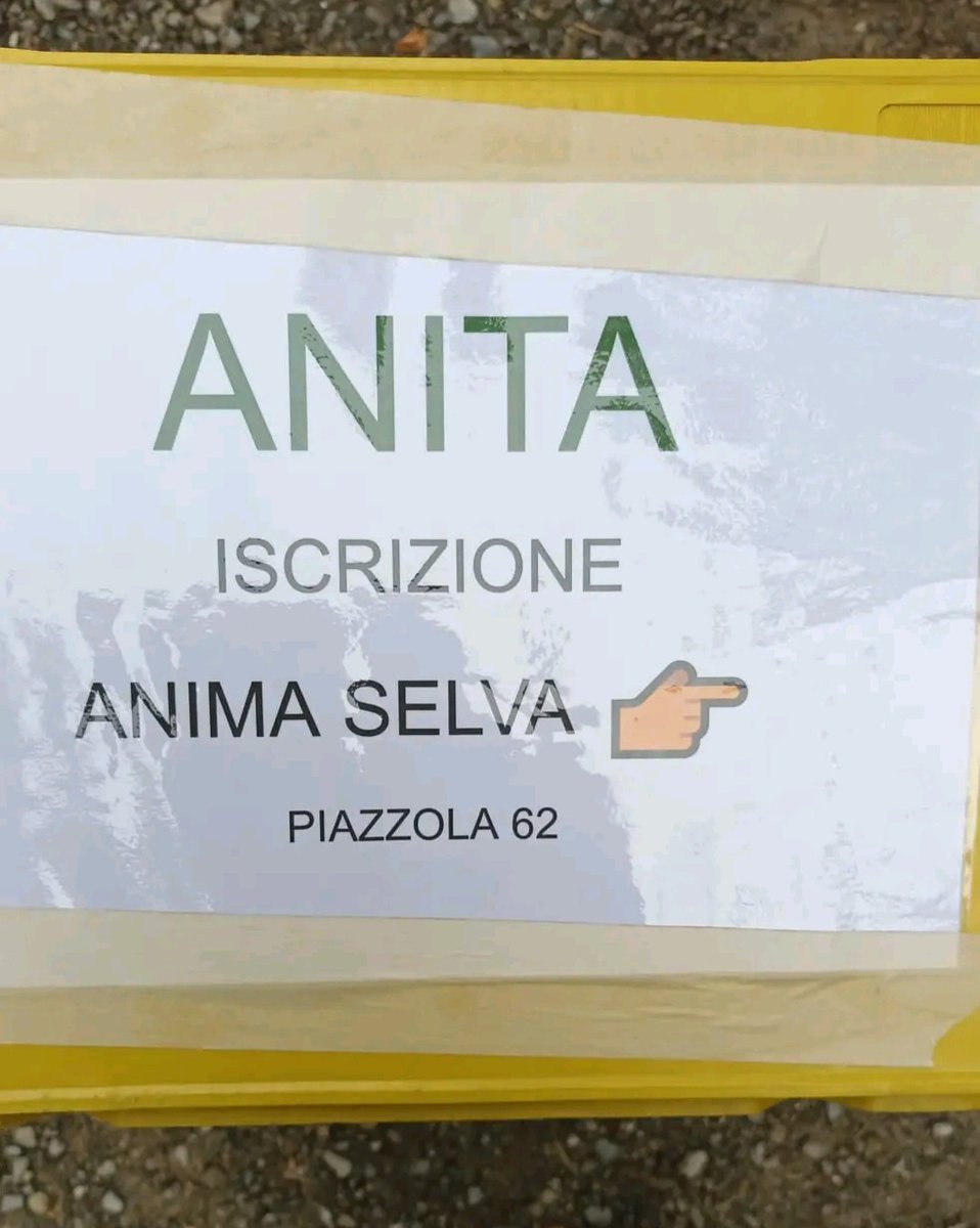 Anita_naturismo's tweet photo. #animaselva vi aspetta! 
Alla scoperta "dell'IO"

 #anita #Nudiverso #naturismo #naturism #nudiverso #naturismoanita #naturisme #naked  #campingnaturista #campingcalescope #io #animaselva3 #Marzabotto #emiliaromagna #fkk #natura #yoga #nakedyoga #holistic #meditation #calescope https://t.co/3yHMIhdHAQ