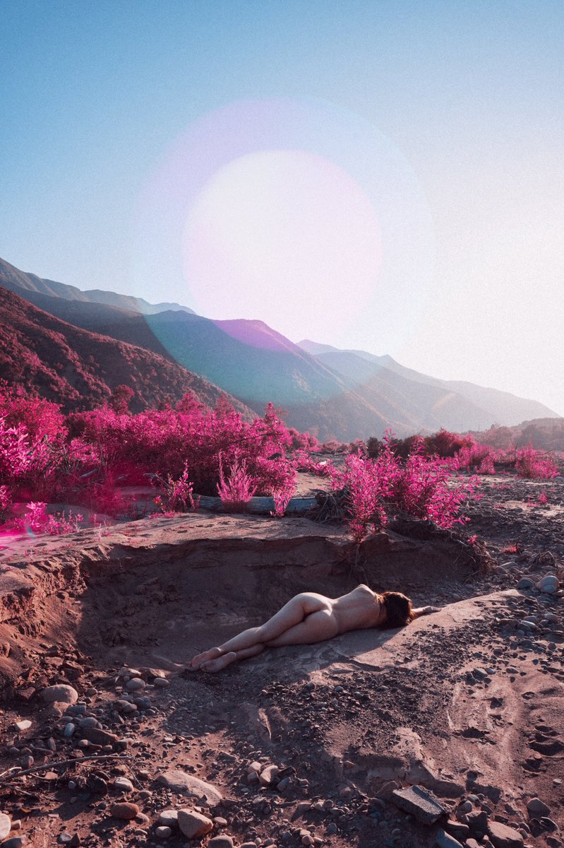 Julia Corbett tweet media