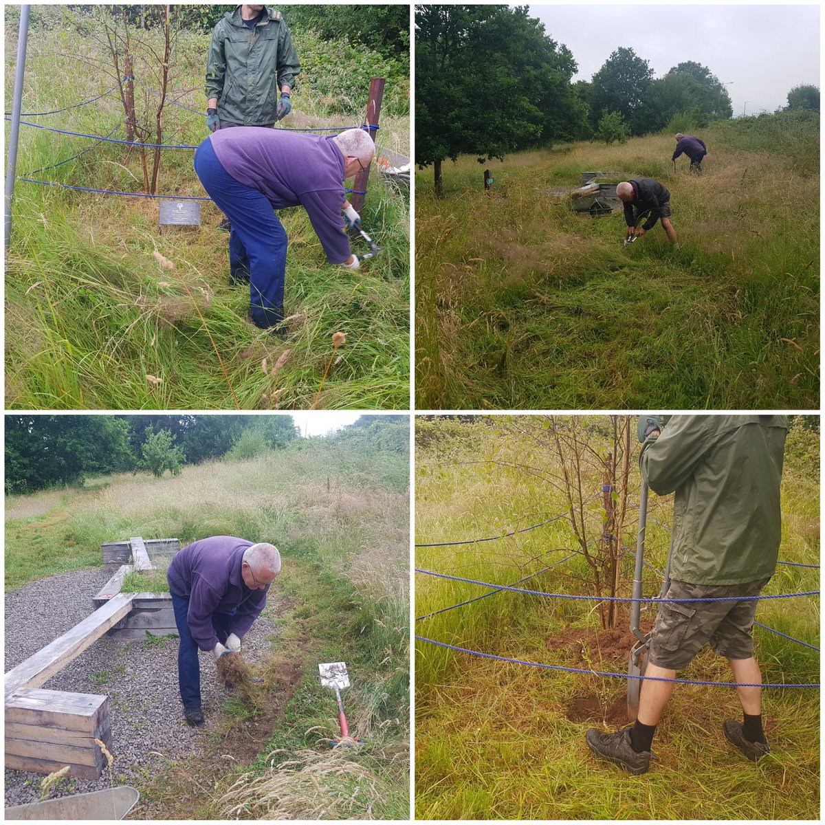 HenllysLNR's tweet photo. I started #volunteering here in 2008, set up the group in 2010, got £60k in grants (+£30k indirectly) & with over 12k vol hrs organised on site, my gloves are hung up today. The old guard installed our #treeoftrees plaque today, awarded to us by the late #Queen as a last hurrah. https://t.co/AA6xYOFWJ4
