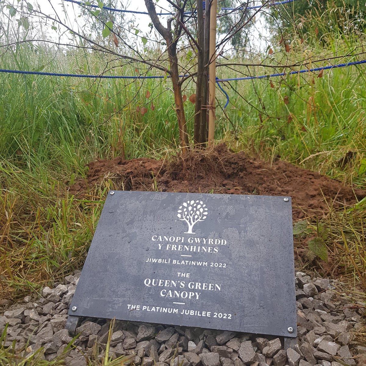 HenllysLNR's tweet photo. I started #volunteering here in 2008, set up the group in 2010, got £60k in grants (+£30k indirectly) & with over 12k vol hrs organised on site, my gloves are hung up today. The old guard installed our #treeoftrees plaque today, awarded to us by the late #Queen as a last hurrah. https://t.co/AA6xYOFWJ4