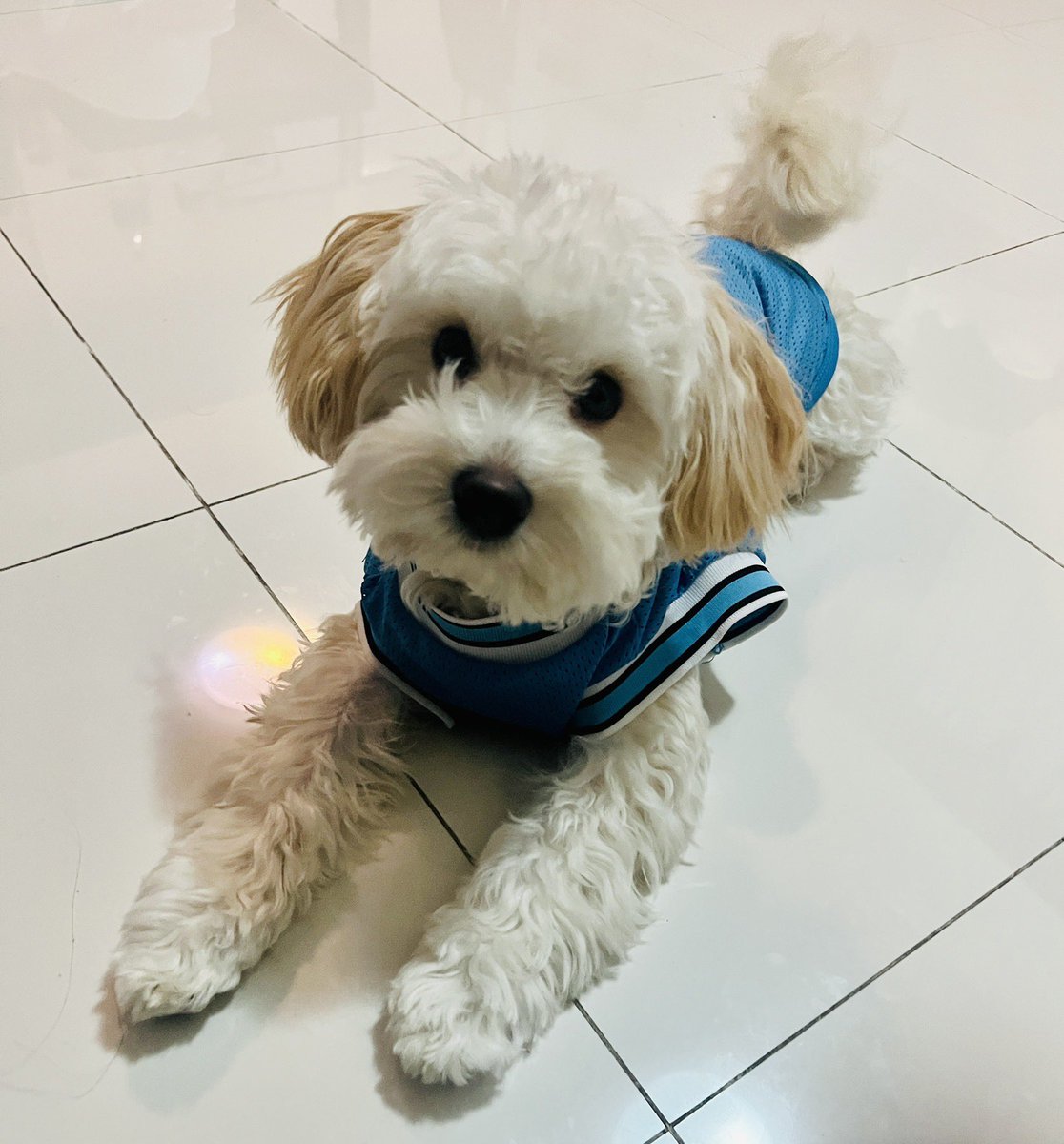 BGYO_Nate's tweet photo. thank you for coming today ACEs! im very happy and i had fun seeing everyone who came po hehe. arlo is happy with his gifts too heheheheheh https://t.co/lwXAlhhPOy