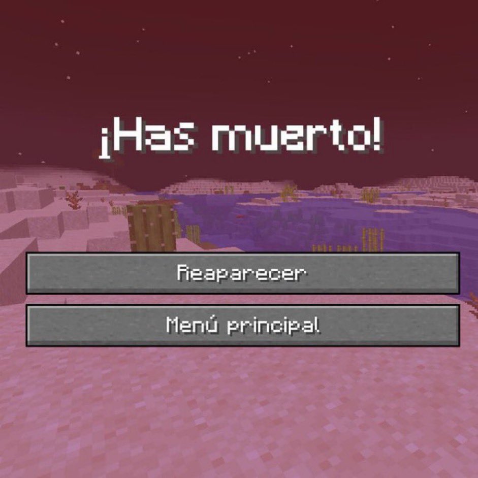 Tu ultima foto es lo que hizo que te mueras en Minecraft