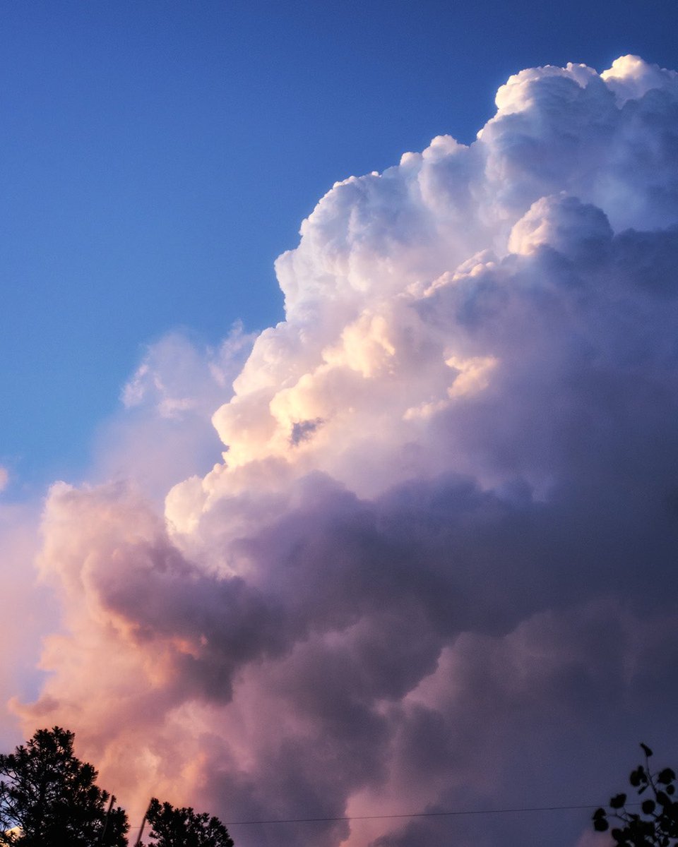 I love taking photos of clouds.

From Wednesday evening. Had the prettiest pink tones.

#cowx #StormHour #cloudspotting