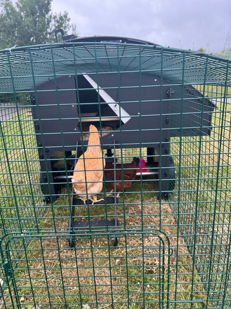 We are pleased to welcome our new school friends. A huge thank you to Farmer Tom at Little Morton Farm in North Wingfield. <a href="/RedhillTrust/">Redhill Academy Trust</a> <a href="/Misskirk44/">Miss Kirk</a> <a href="/Miss_Dunn1/">Miss Dunn</a>