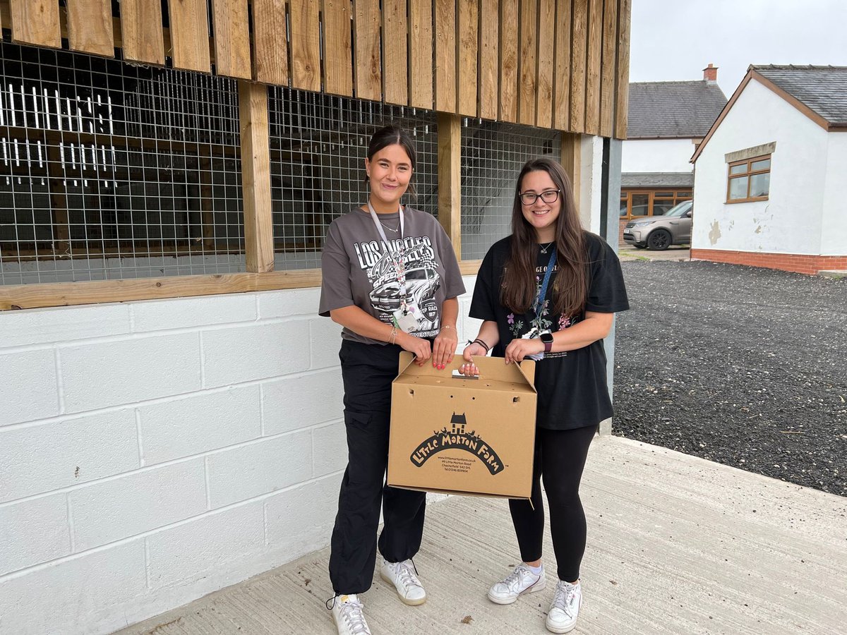 academy_nwpn's tweet photo. We are pleased to welcome our new school friends. A huge thank you to Farmer Tom at Little Morton Farm in North Wingfield. @RedhillTrust @Misskirk44 @Miss_Dunn1 https://t.co/mJQc5qn6f1