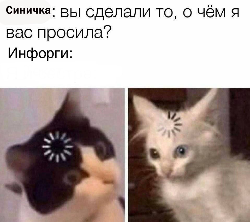 Народное творчество 🙈😂