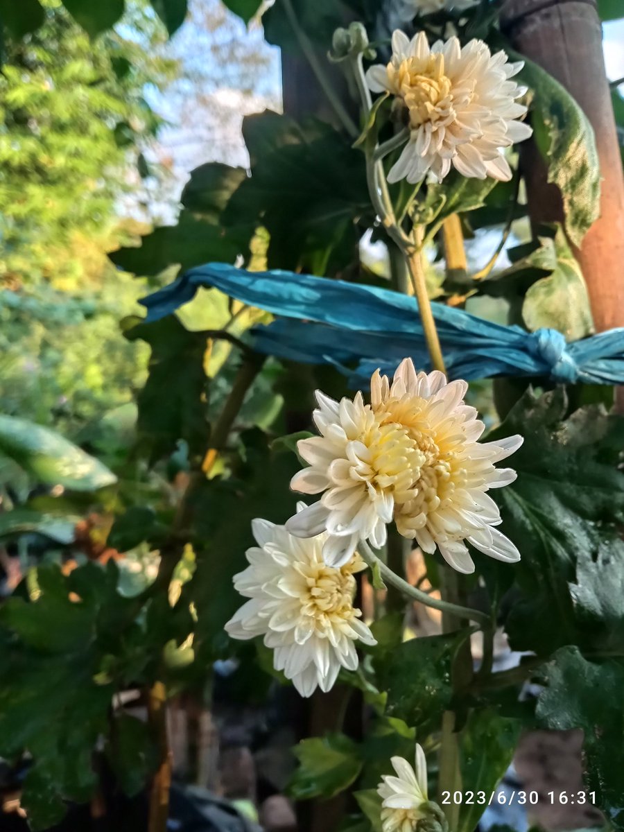 Indah walaupun tak sempurna ❤️