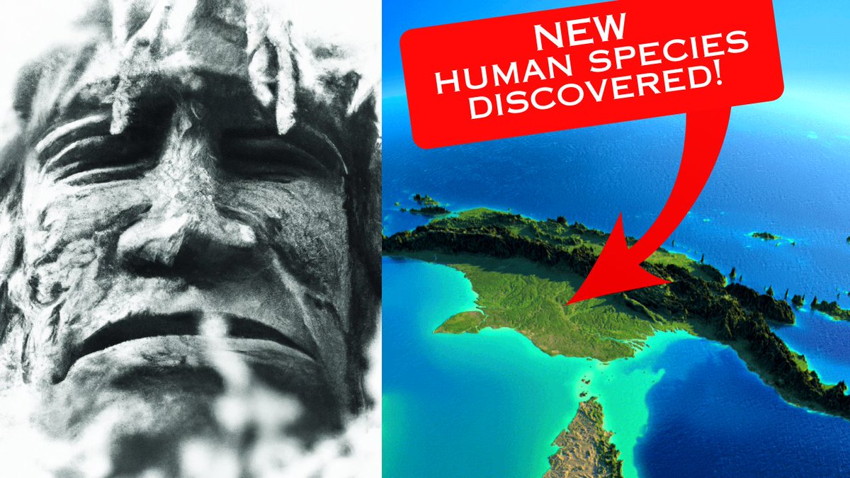 CompellingVideo's tweet image. The Dark Secret of Human Evolution: Scientists Discover Two New Subspecies!
youtu.be/xCMZ6MGkz6E