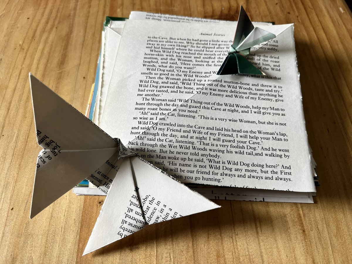 Getting ready for tomorrow’s free storytelling and activity session for the #RossChildrensBookFestival (11:30-12:30)! Pop along if you can! 😃🍄🥰 #childrensbooks #twigsthefairy #readingcommunity #education #schools #readingforpleasure #storytime #BookTwitter #kidlit #RossonWye