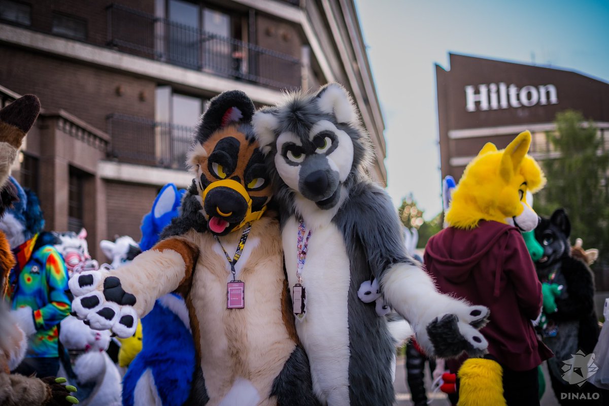 FoxLemur's tweet photo. You dare to give us a snug or what? ๐
๐ถ@Tixiefox
๐ท@DinaloFoxxo & @JulesTheStoat
#Confuzzled23 #FursuitFriday https://t.co/XdDkvJZbVb