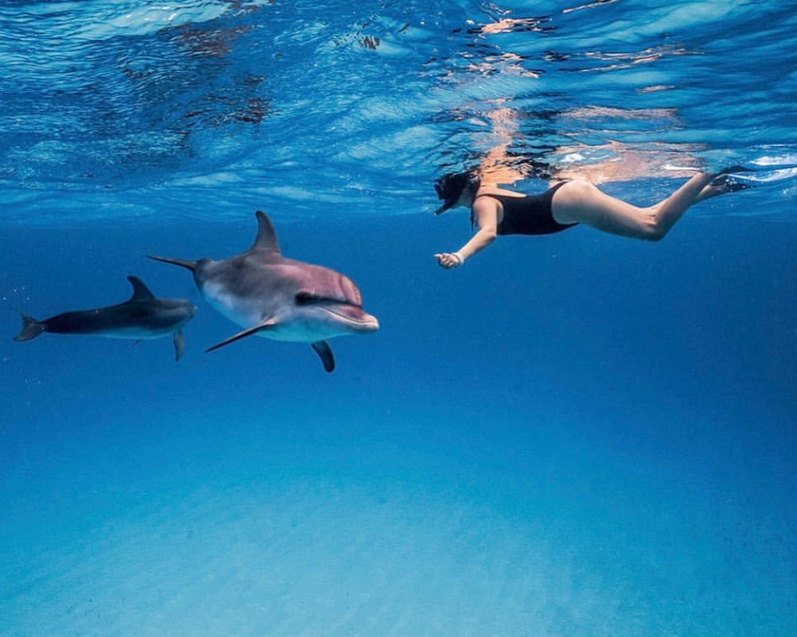 WildQuestBimini's tweet photo. Me swimming with wild dolphins in the middle of the ocean last week. It was magical 🚀🐬🐬🐬🐬🐬🐬🐬🐬🐬🐬🐬🪐🪐🪐🪐🪐🪐🪐🐬🐬🐬🐬
#Repost @opal_unicorn
📸 : @estherwhite.photography @wildquestbimini
#WildQuest #wildandfree #bimini #bahamas https://t.co/CtI37TOCtf