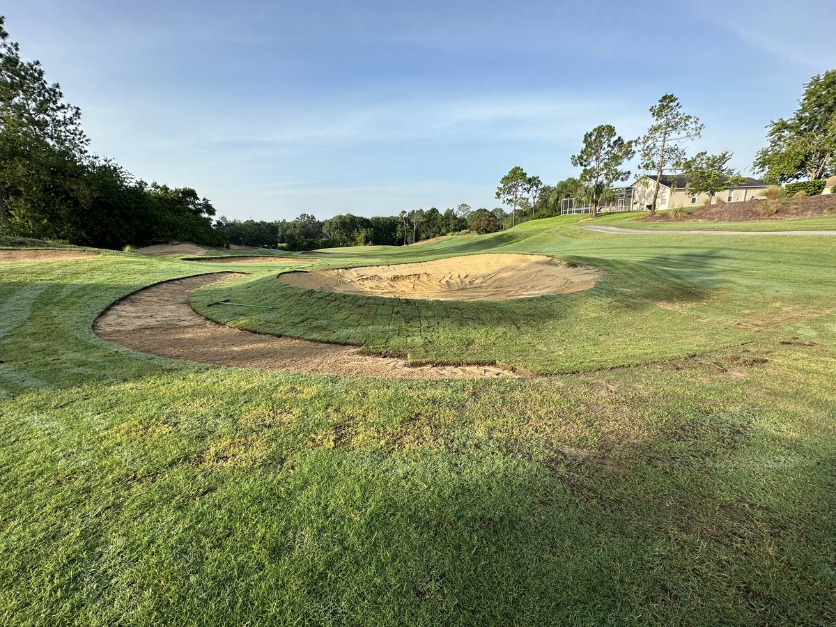 Shane Rice tweet media