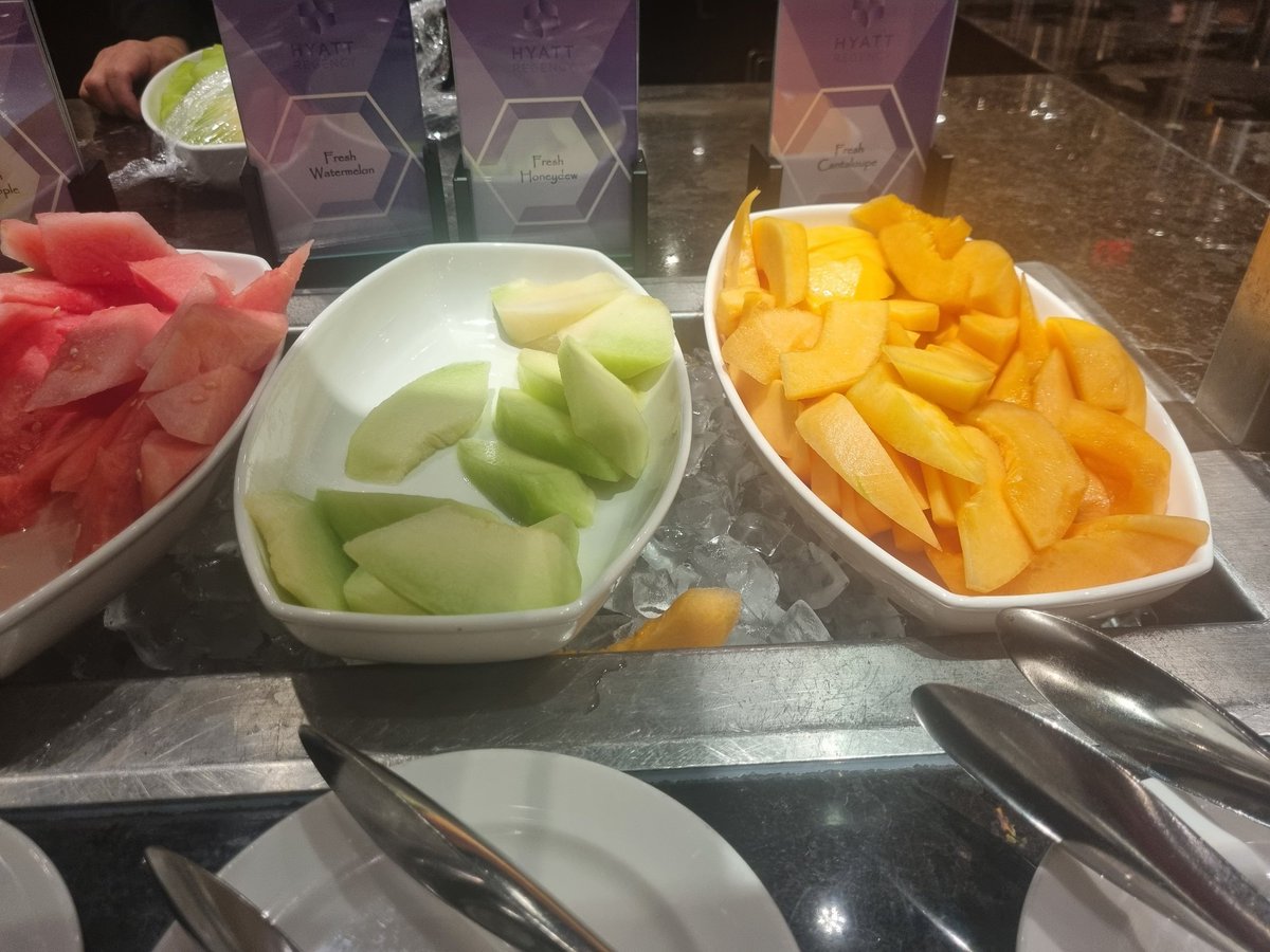 Tweetinggoddess's tweet image. Last day of #Toronto 
We were attending #Collision2023
#CollisionConf HUGE Thanks to @TourAmericaTV @MaryTourAmerica We stayed at the @HyattConcierge Regency which was in a perfect location! Tour America looked after our flights with @AerLingus &amp;amp; chose the best hotel to suit us!