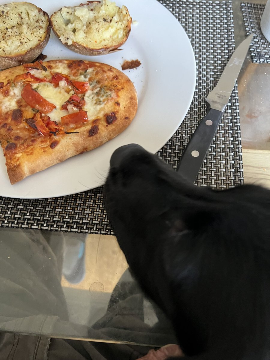 Apparently my snout is far too close to his pizza!
