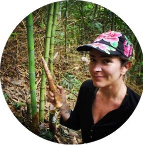 Natalia Reategui, explored bamboo's potential at the #EuropeanBambooExpo. 

🌿From innovative applications to climate impact, her blog summarizes it all! 🔗 tinylink.net/0rp9M

Let's harness the power of bamboo and build a bluer, greener world!