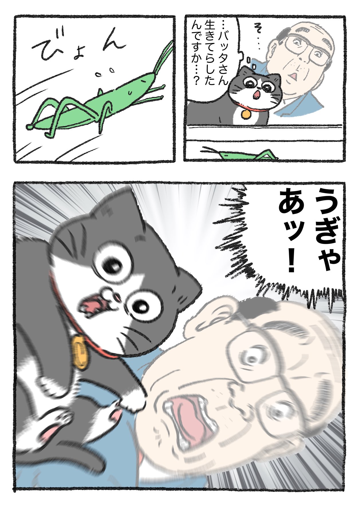 おやネコ ねこに転生したおじさん。その767