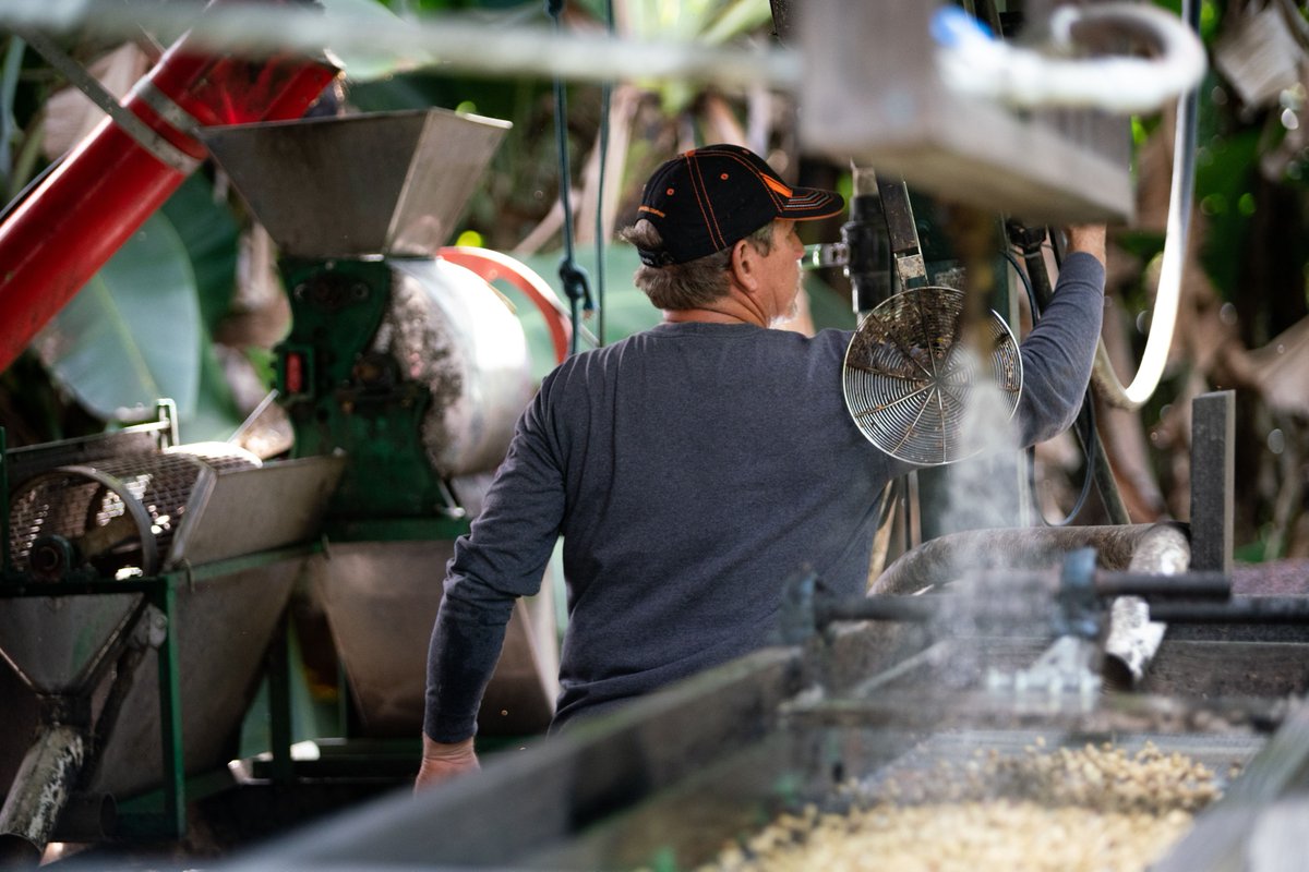 Big Island Coffee tweet media
