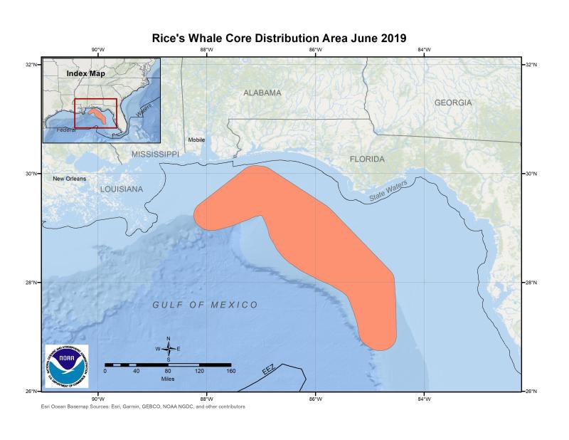 HunterandAngler's tweet image. Offshore angling and boating in the northeastern Gulf of Mexico could be crippled if NOAA consents with an overly speculative petition regarding Rice’s Whales. Learn more and act today by clicking the link! votervoice.net/mobile/KAF/Cam…