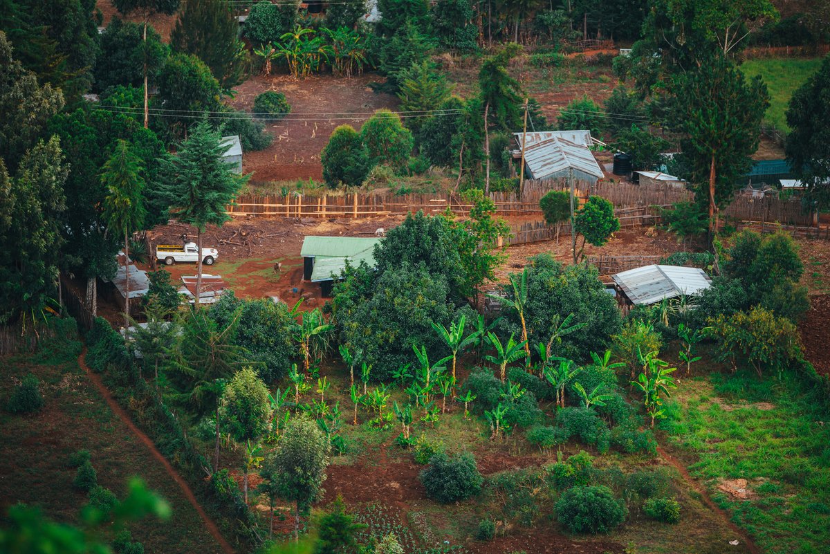 GCAdaptation's tweet photo. 📣, @GCAdaptation participated in the technical launch program of #BREFONS in Nairobi, a $300 million investment project financed by the @AfDB_Group and supported by #AAAP to build resilience for #foodsecurity and nutritional security in Africa. https://t.co/1MKX18YaC8 https://t.co/omdwnpdHKF