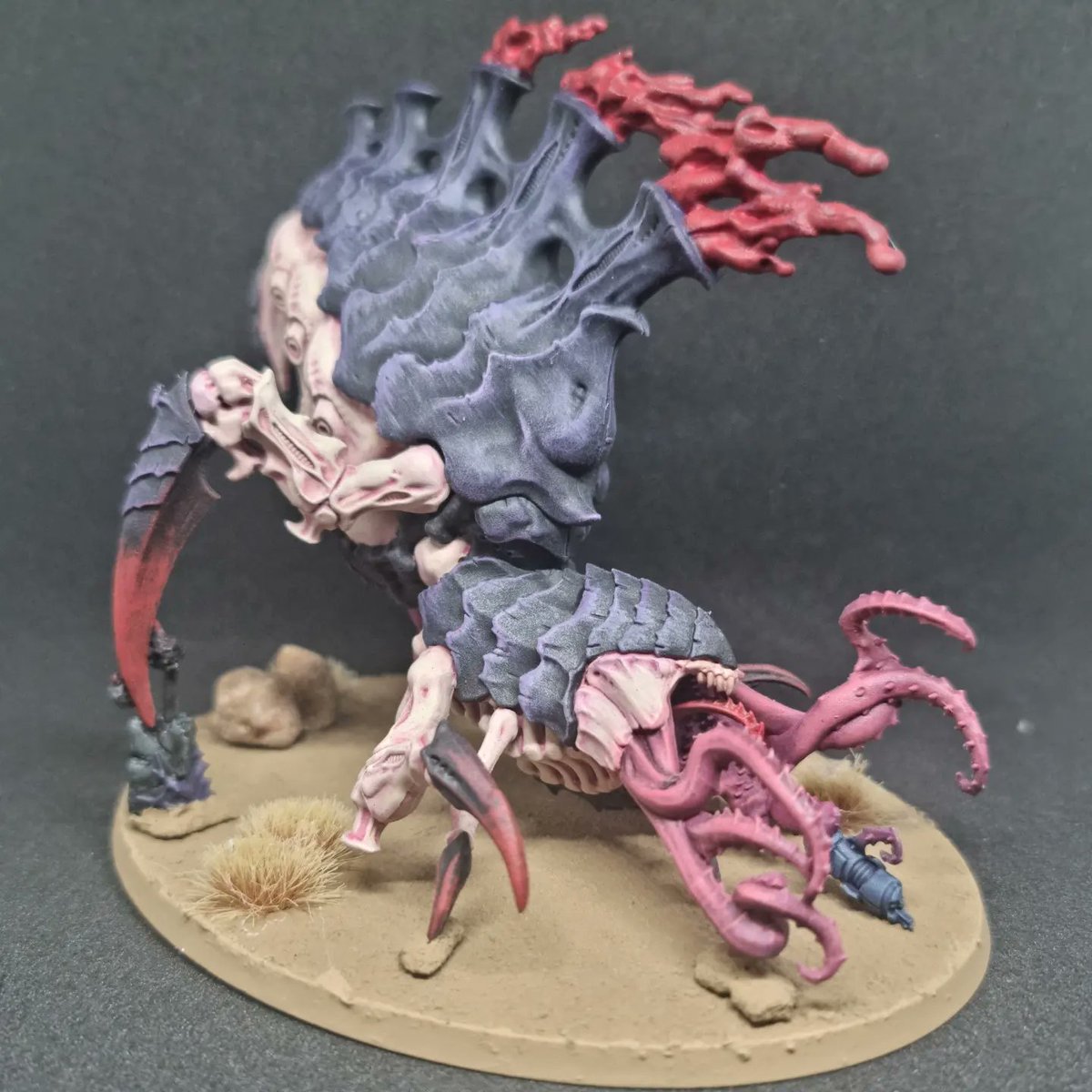CBurbidge92's tweet photo. @warhammer First one out of the box painted 👍🏻 going one unit at a time 😁 https://t.co/MEeUoAGY1b