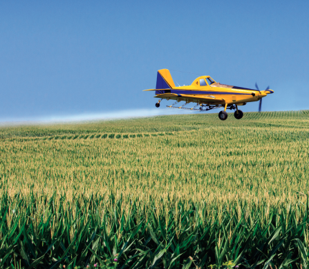 Find the ultimate foliar feed solution in NutriBoost NKB. With micronutrients including boron, potassium, nitrogen and molybdenum, this excellent tank mix partner supports season-long plant health. streamline-ag.com/products