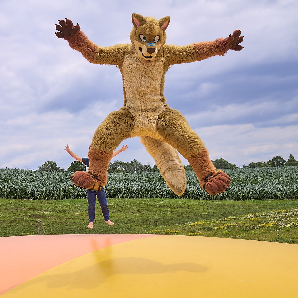 CGeroo's tweet photo. Just *bounce* a little *bounce* HIGHER!! #FursuitFriday #fursuit #geroo #hayvencelestia #operafurry #jumpingpillow https://t.co/cHonIbz9eb