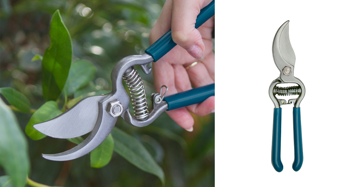 DarlacGardening's tweet photo. Tough and stylish, the Darlac Sarah Raven Drop Forged Bypass Pruner has been carefully crafted to offer the ultimate in comfort and performance.
Made in collaboration with Sarah Raven – for a beautiful and productive garden 💐
https://t.co/pOhsABktpv
#darlactools #gardenpruners https://t.co/gtMp8lUcGS