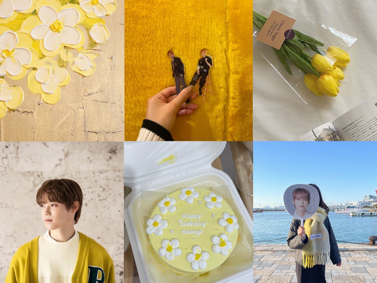 pino🟡 tweet media