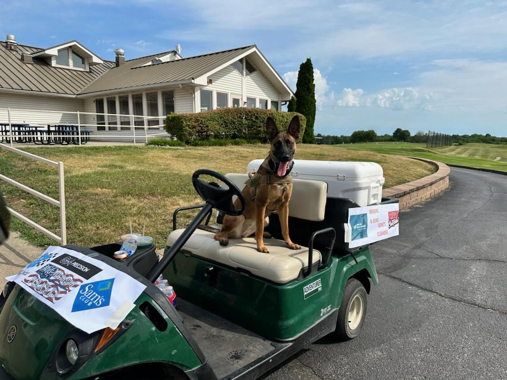 K9SgtEdwards's tweet photo. K9 Freyja helping on the beverage cart at the Golf Tournament ⛳️ https://t.co/7FKSKgmHtS