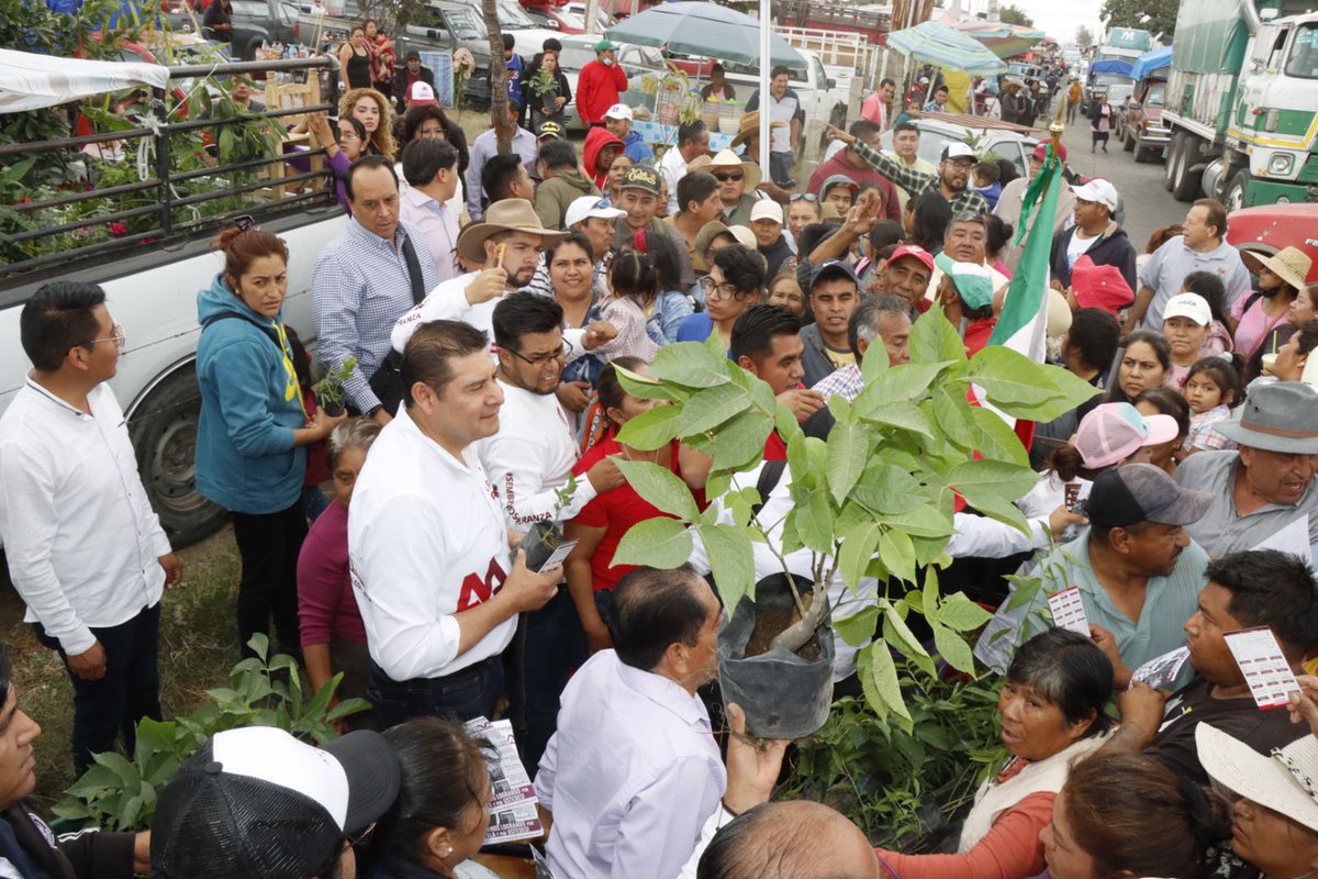 ASarmientoRenR's tweet photo. Con la visión humanista de #AMLO  @armentapuebla_ intensifica jornadas forestales.

#radioenredesPuebla https://t.co/bG5J9MIJ2I