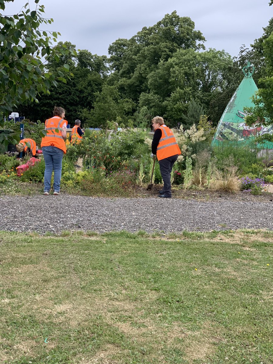 Alison Fairman tweet media