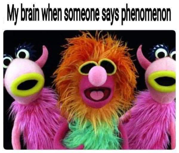 TonyCulp's tweet image. Thanks to @TellEmSteveDave @GitEmSteveDave @sundayjeff @BQQuinn , this is now a #TESD reality.