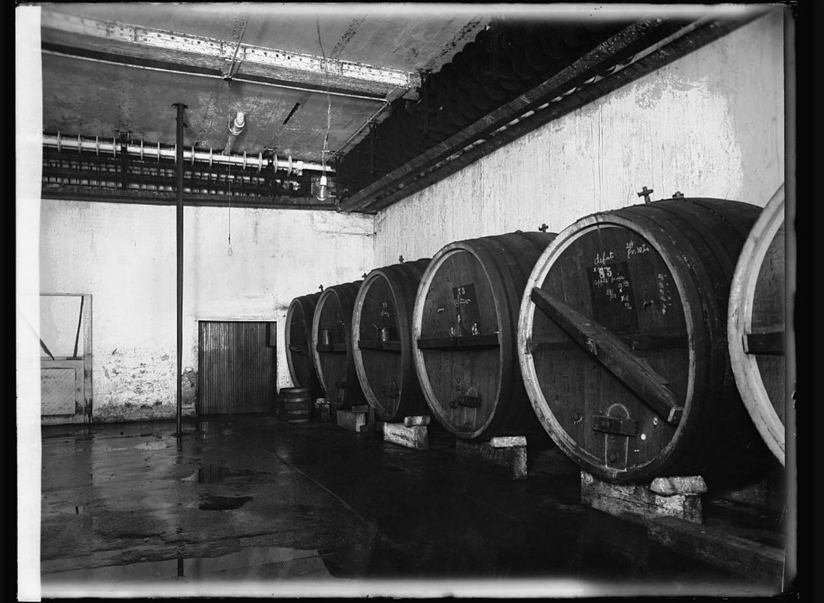 LostLagers's tweet photo. Inspired by @der_ak article last week on California Steam Beer, I bring you a piece on the only Common in the District of Columbia. Enjoy! #beerhistory #brewedindc #dcbeer #dcbrews #steambeer #commonbeer #saaz #steam #brewing https://t.co/WN27l3d0Tj