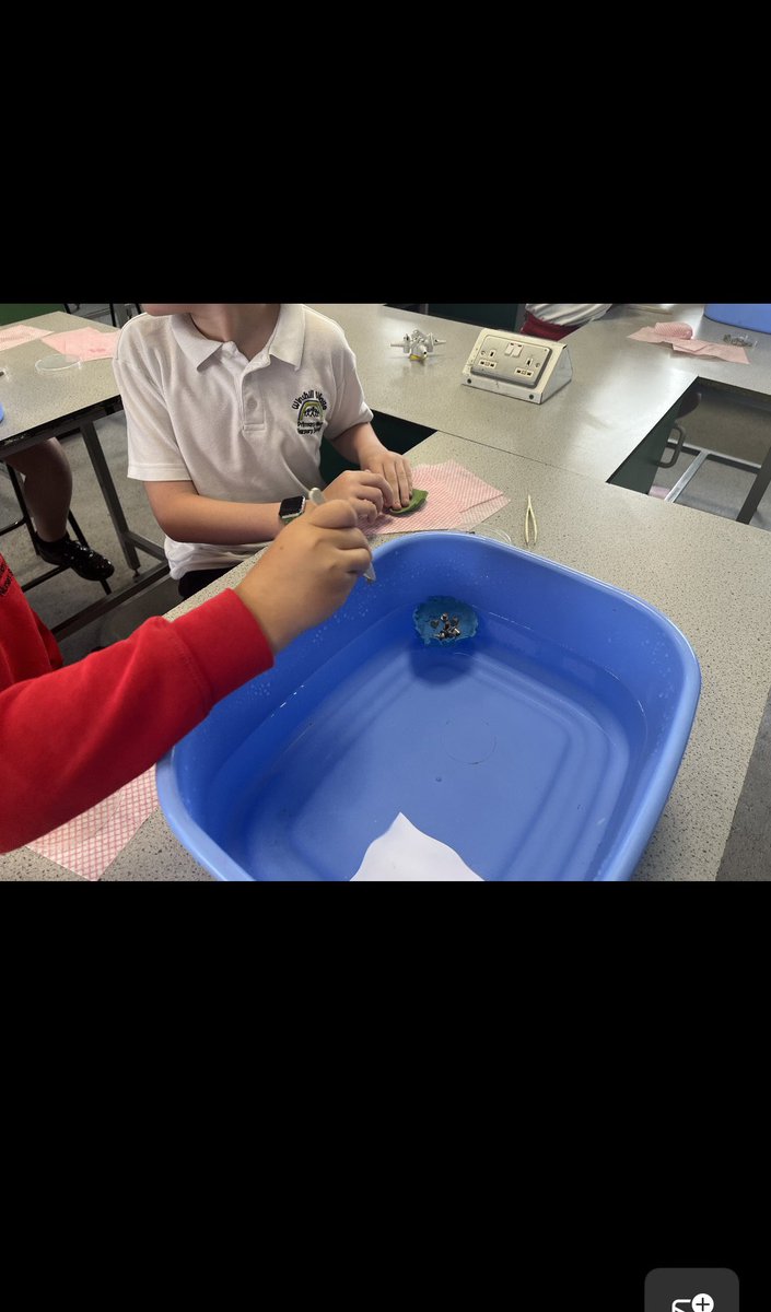 Year 4 had an amazing time at Abbot Beyne on Wednesday! They had to create a boat which would float on water and hold as many weights as possible. They used scientific language such as density, gravity and upthrust to explain their learning. Thank you @Abbotbeyne!  #DreamBig