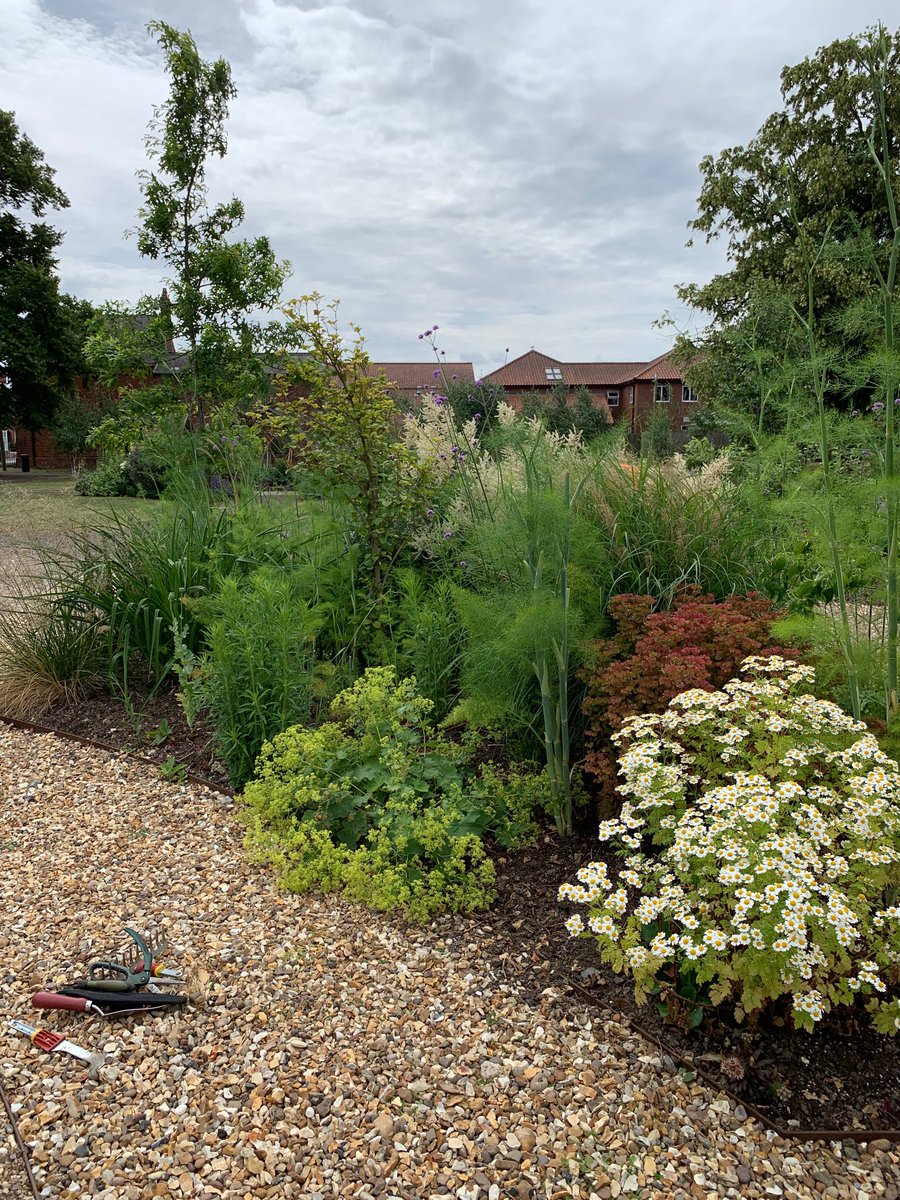 BostoninBloom1's tweet photo. We’ve been in the buoy garden this morning. It is looking fabulous hard work but worth it . #RHS #PrideinourTown #BrilliantBoston https://t.co/CB82iA1Nkz