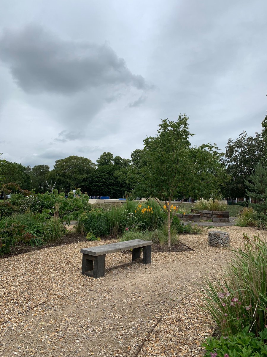 BostoninBloom1's tweet photo. We’ve been in the buoy garden this morning. It is looking fabulous hard work but worth it . #RHS #PrideinourTown #BrilliantBoston https://t.co/CB82iA1Nkz