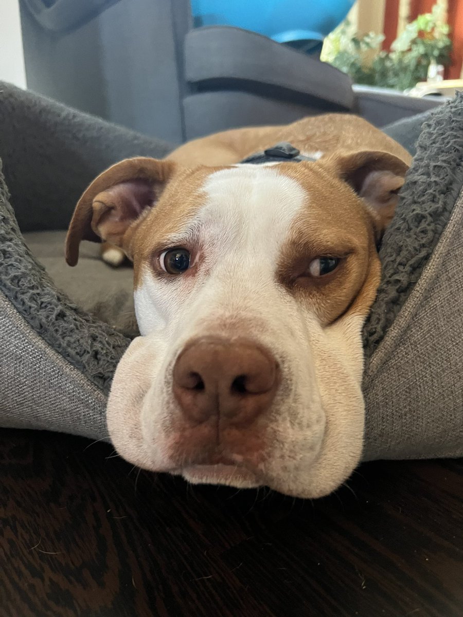 Jürgen 🎧 podcastet @mirunauffaellig@chaos.social tweet media