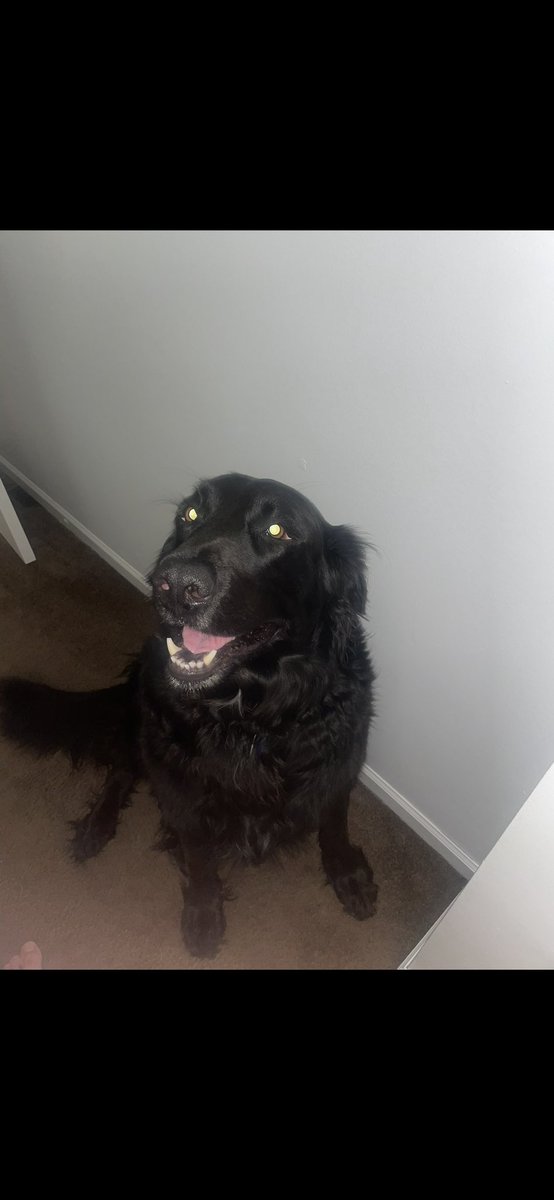 Rest in piece to my buddy ☹️