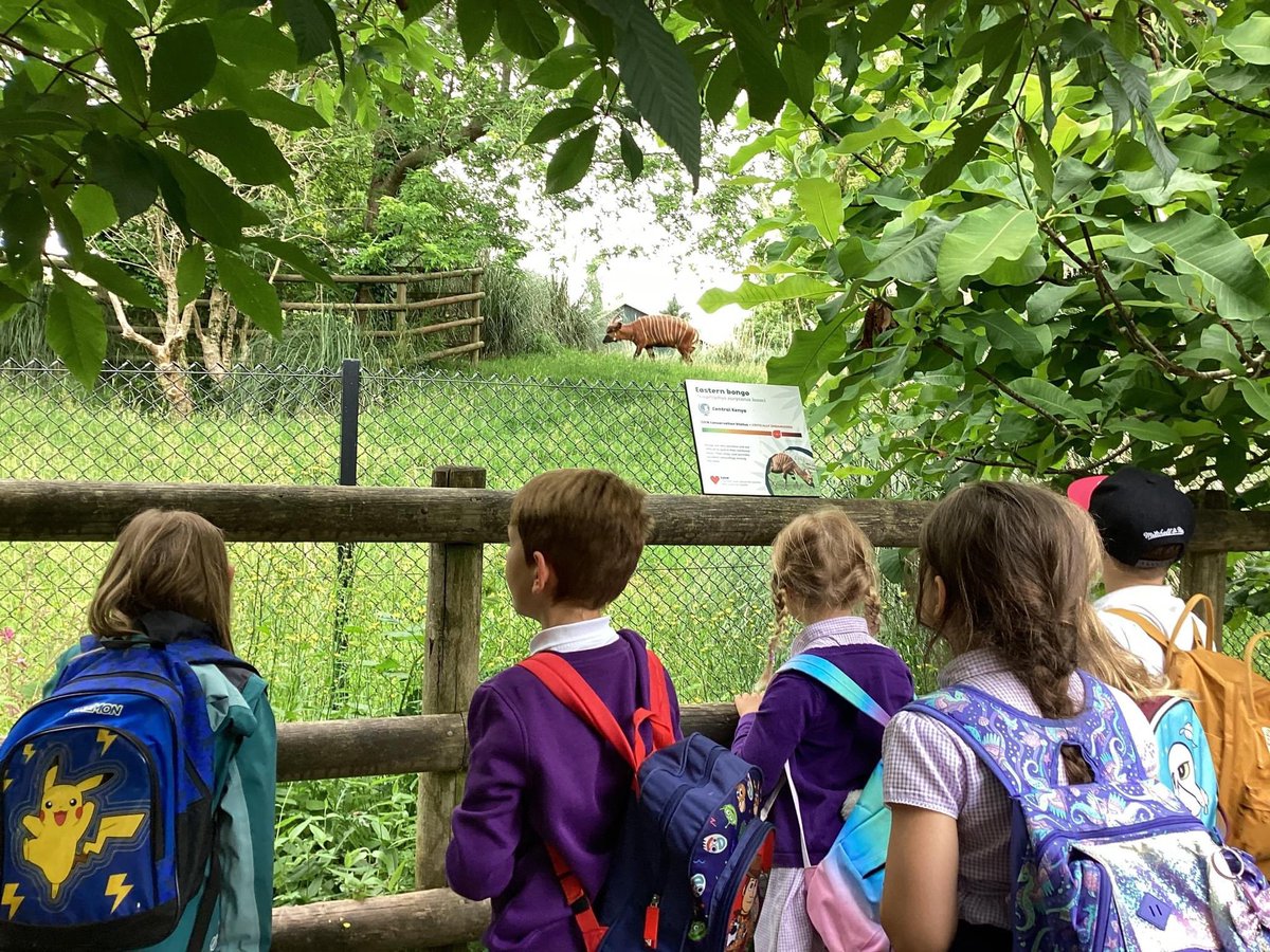 plaistowhill's tweet photo. We had a wonderful time at @PaigntonZoo on Tuesday.
We had some wonderful comments from the general public about how well the children behaved. The children were polite and held doors open for other people.
Well done children!
#PlaistowHill #Plymouth #school #HorizonMAT https://t.co/woXVLYHj6c