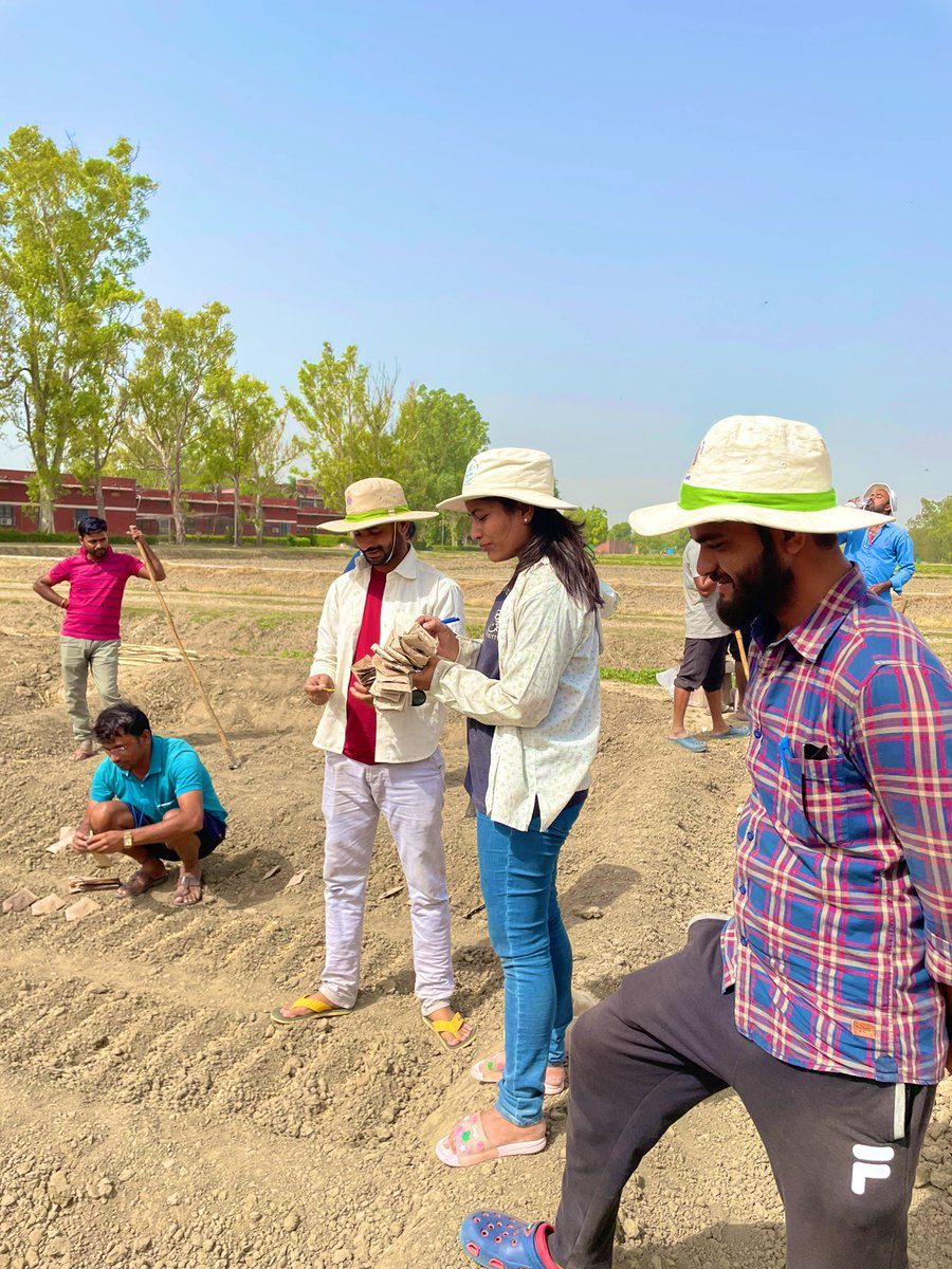 Mohanap2Pallavi's tweet photo. 🌾Rice farming is hard. It’s complicated. It takes twice the amount of labor as other crops. I am working on rice crop for almost 3 years. I feel so lucky to be a part of growing grains to feed the world.Have you appreciating the process of how food arrives at your table❓#rice https://t.co/x7BzI9tbCr