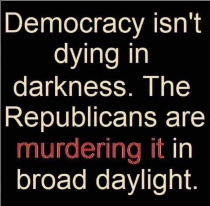 My heart is heavy today.💔

I'm 61 yo &amp; I never thought I'd live to see the day the Supreme Court would whore out their votes to the ULTRA MAGA agenda, but here we are.

I don’t want to see Democracy fall too because Democrats didn't vote.
#ProudBlue #StudentLoanForgiveness