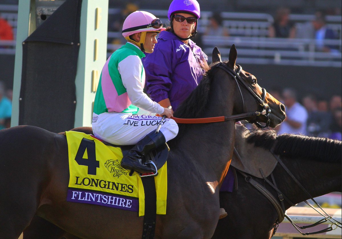 Steve Coxon Racing 🏇 tweet media
