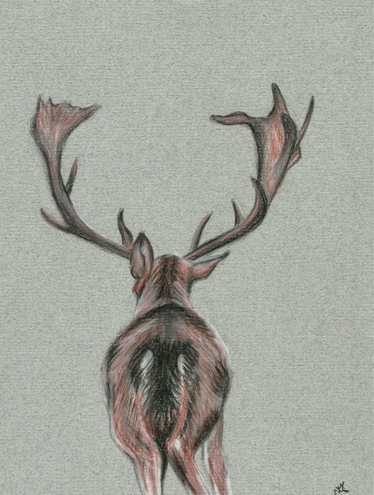 Art of the Day: "Deer stag illustration". Buy at: ArtPal.com/Nmlart?i=94566…
