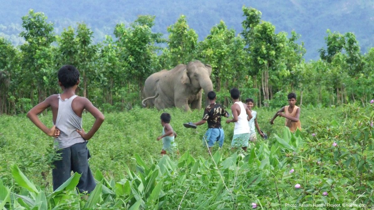 IUCN (@iucn) on Twitter photo Human-#wildlife conflicts are becoming more frequent, serious and widespread.
How can we manage these conflicts in a way that protects communities and stops conflicts from escalating?
Our Issues Brief explains ➡️ bit.ly/3agix9m
<a href="/hwctf/">IUCN SSC Human-Wildlife Conflict & Coexistence SG</a> #HWCC2023 Human-#wildlife conflicts are becoming more frequent, serious and widespread.
How can we manage these conflicts in a way that protects communities and stops conflicts from escalating?
Our Issues Brief explains ➡️ bit.ly/3agix9m
<a href="/hwctf/">IUCN SSC Human-Wildlife Conflict & Coexistence SG</a> #HWCC2023