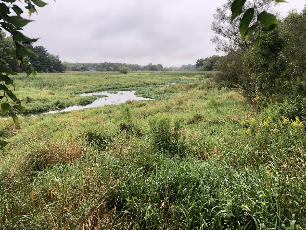 FractureRockH20's tweet photo. @AGU_H3S My field site is technically a fracture ~ 30 m below surface. But that fracture helps create the beautiful Culver Springs near Madison, WI #NotAPhotographer #FieldWorkFriday #PhDLife #HydroTwitter https://t.co/YxEipaqNeY